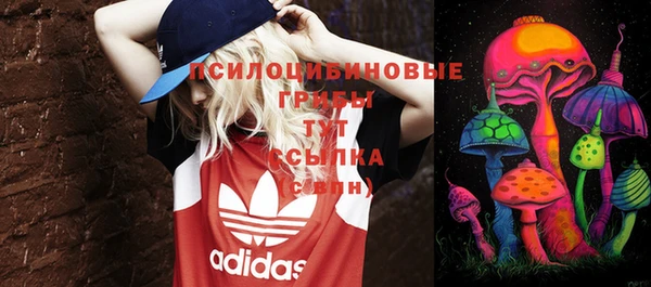 МДПВ Балахна