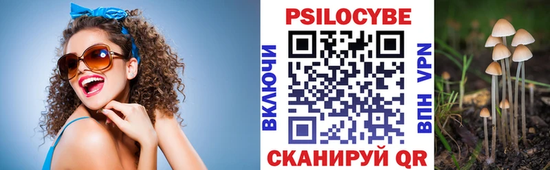 Купить закладки  Динская  Галлюциногенные грибы Magic Shrooms 